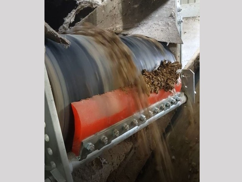 Manure encrustations on the conveyor belt