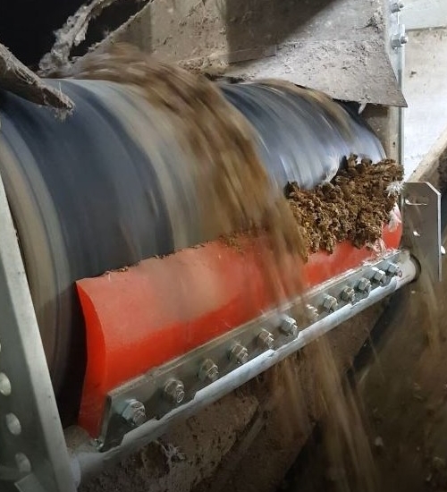 Manure encrustations on the conveyor belt